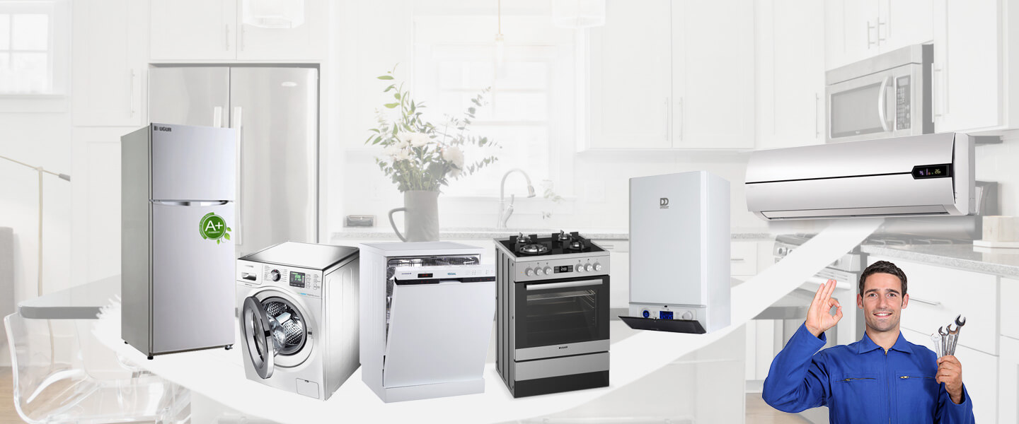 Bolvadin Dominox Servisi